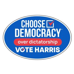 Choose Democracy over Dictatorship Car Magnet